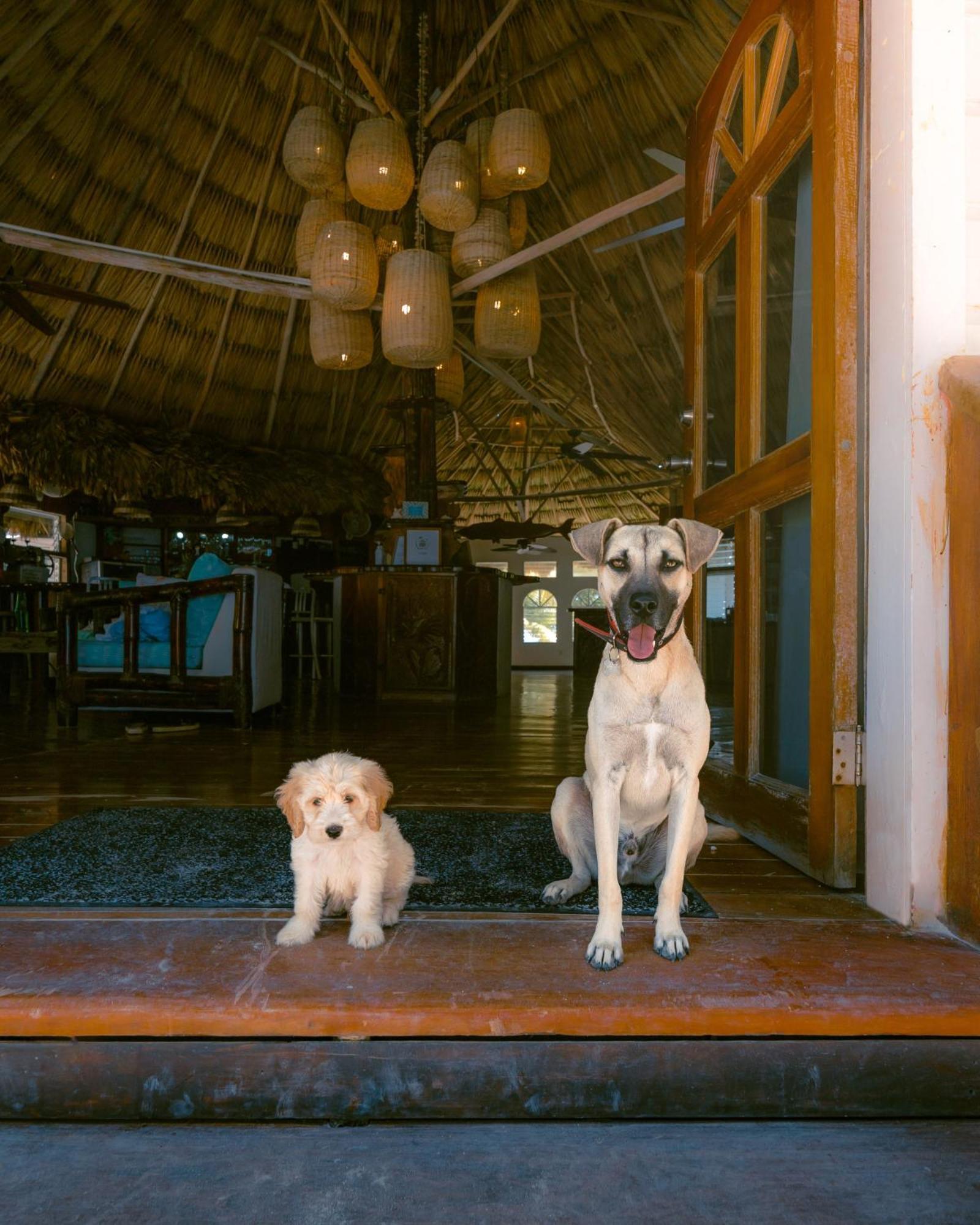 Thatch Caye Resort A Muy'Ono Resort ホプキンズ エクステリア 写真