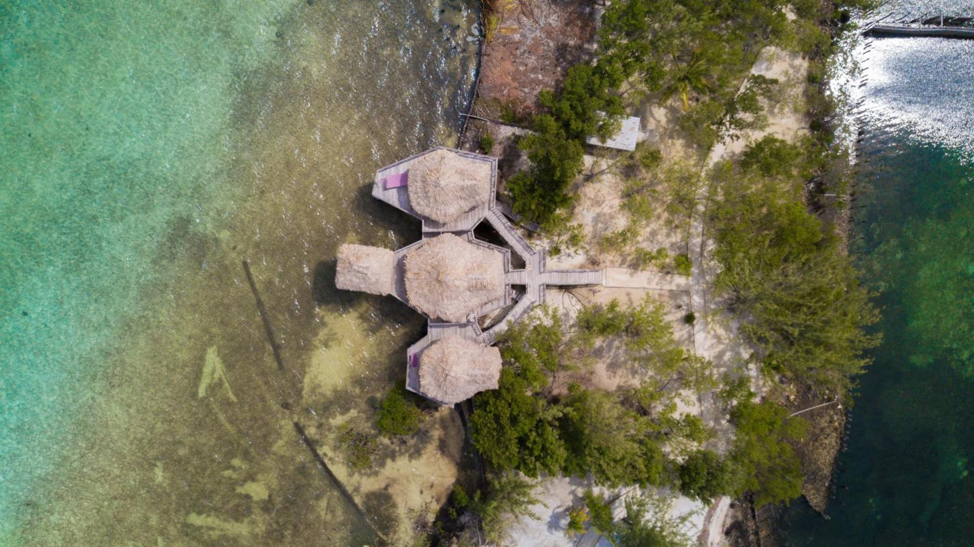 Thatch Caye Resort A Muy'Ono Resort ホプキンズ 部屋 写真