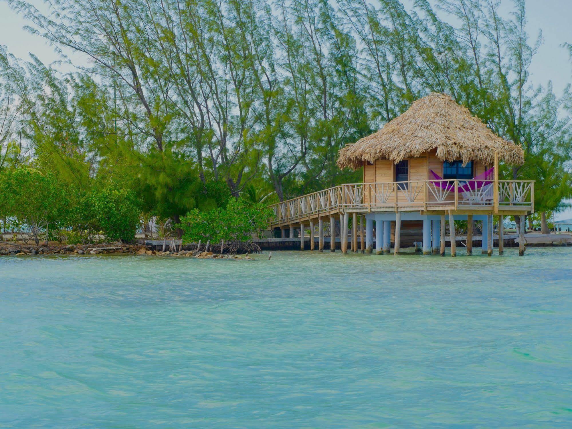 Thatch Caye Resort A Muy'Ono Resort ホプキンズ エクステリア 写真