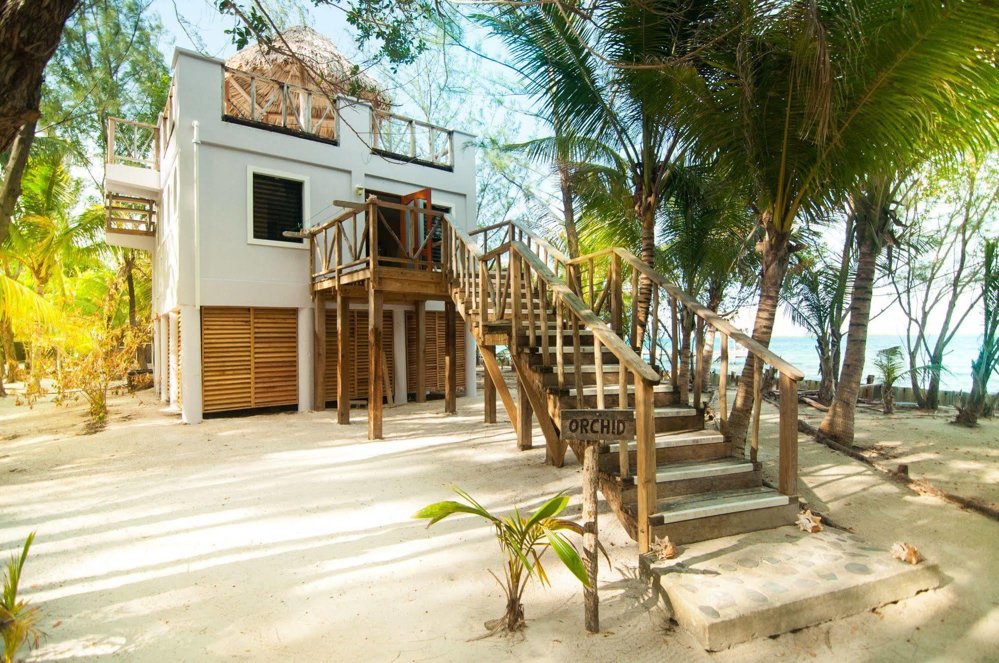 Thatch Caye Resort A Muy'Ono Resort ホプキンズ エクステリア 写真