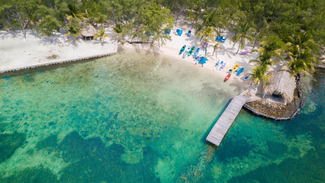 Thatch Caye Resort A Muy'Ono Resort ホプキンズ エクステリア 写真