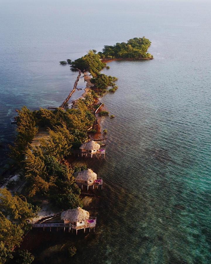 Thatch Caye Resort A Muy'Ono Resort ホプキンズ エクステリア 写真